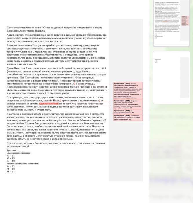 Проверенное сочинение с комментариями и баллами по критериям